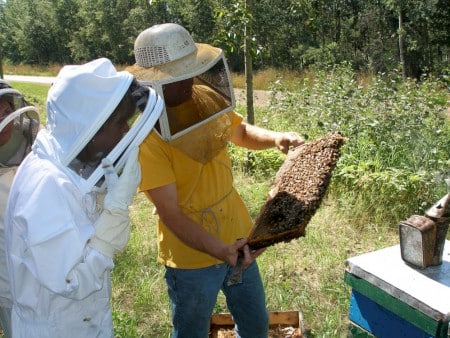 Beekeepers
